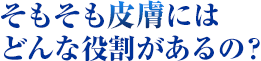 そもそも皮膚にはどんな役割があるの？