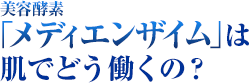 美容酵素「メディエンザイム」は肌でどう働くの？