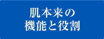 肌本来の機能と役割