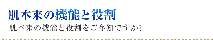 肌本来の機能と役割 肌の機能と役割をご存知ですか？