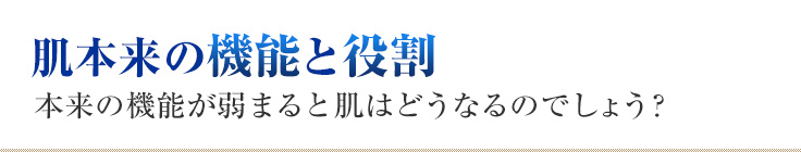 肌本来の機能と役割 本来の機能が弱まると肌はどうなるのでしょう？