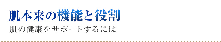 肌本来の機能と役割 肌の健康をサポートするには